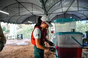 BIB: 
                            <button type="button" onclick="openModal(25435599)" class="btn btn-primary btn-sm float-right btn-popup" data-toggle="modal" data-target=".modal-high-quality">
                        <i class="fas fa-shopping-cart"></i> Add to Cart
                    </button>
                                            <button type="button" onclick="isThisMe(25435599, true)" class="btn btn-success btn-sm float-right btn-popup btn-isme hidden" data-toggle="tooltip" data-placement="bottom" title="นี่คือรูปของคุณใช่ไหม คลิกที่นี่เพื่อเอาเข้าอัลบั้ม">
                        <i class="fas fa-plus"></i> Add to album
                    </button>
                    <button type="button" onclick="isThisMe(25435599, false)" class="btn btn-warning btn-sm float-right btn-popup btn-isnotme hidden">
                        <i class="fas fa-ban"></i> Remove from album
                    </button>